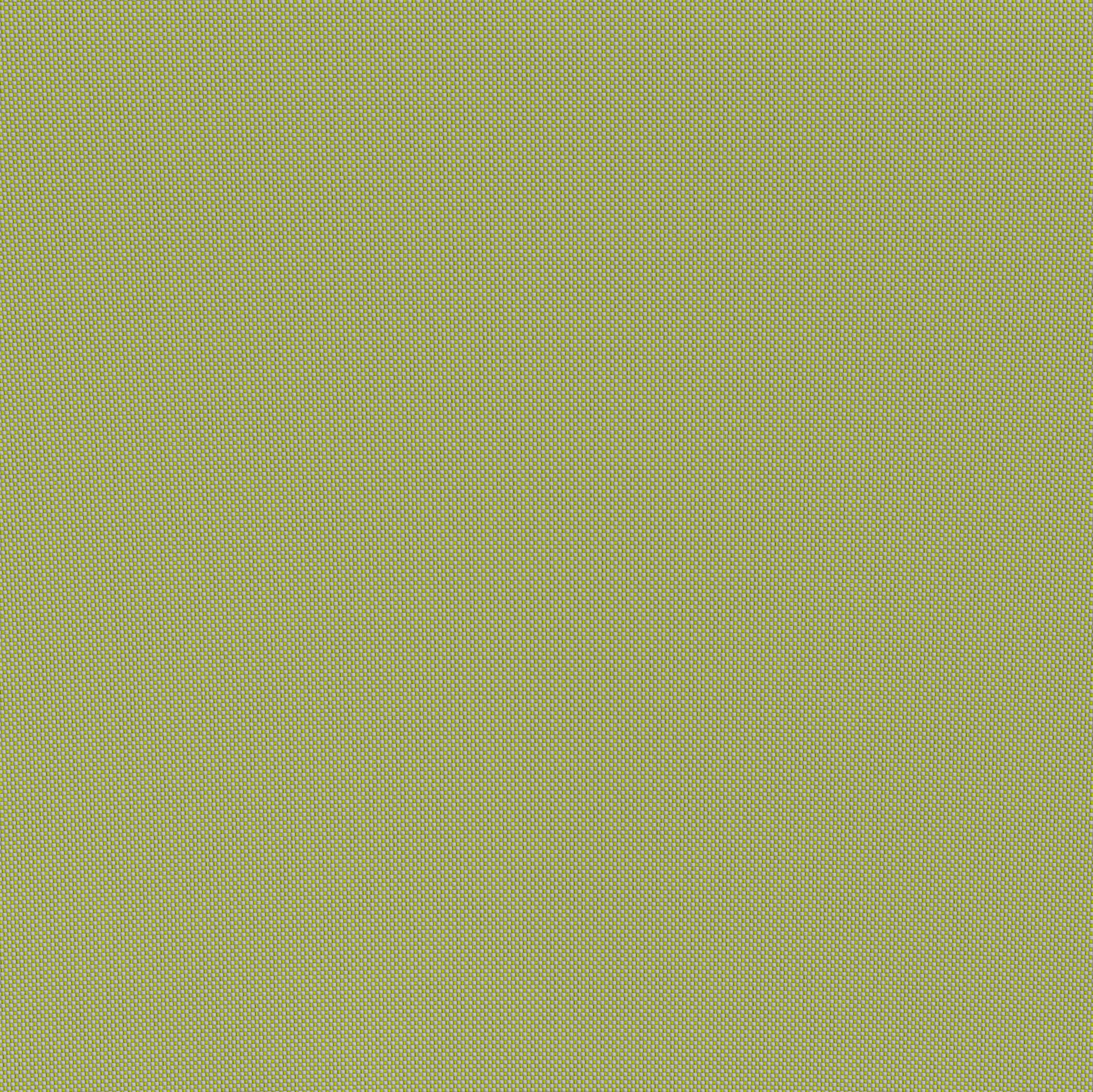 Lychee Modular Sectional Green
